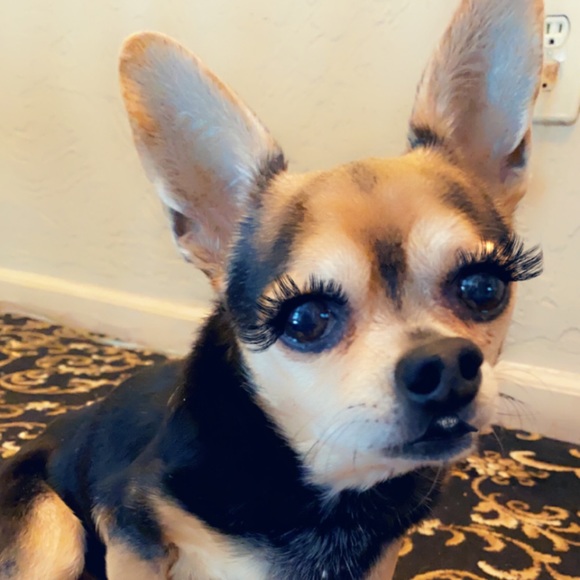 Meet your Posher, Patty - Picture 17 of 17